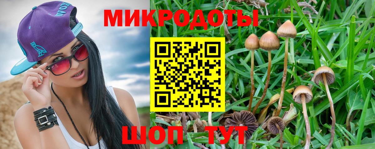 Псилоцибиновые грибы MAGIC MUSHROOMS Арсеньев